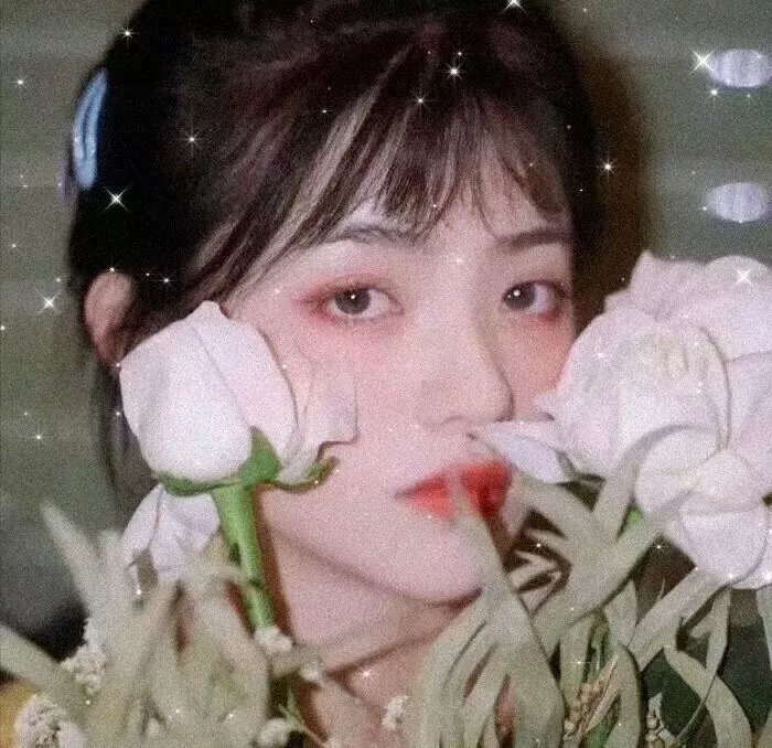 特别的一天
